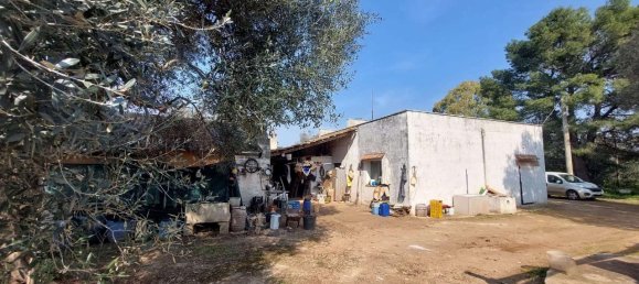 6 rooms Land in Carovigno, Italy No. 153686 14