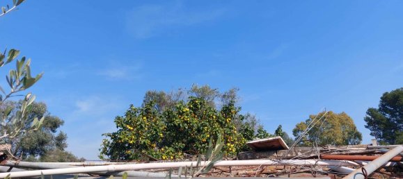 6 rooms Land in Carovigno, Italy No. 153686 23