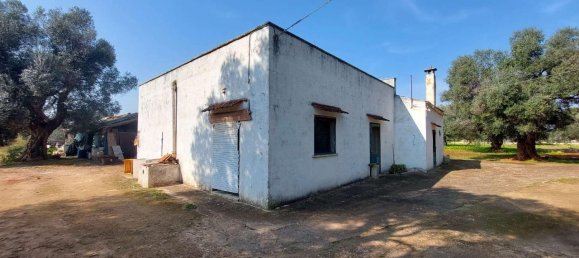 6 rooms Land in Carovigno, Italy No. 153686 18