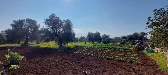 6 rooms Land in Carovigno, Italy No. 153686 12