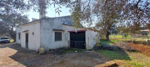 6 rooms Land in Carovigno, Italy No. 153686 15