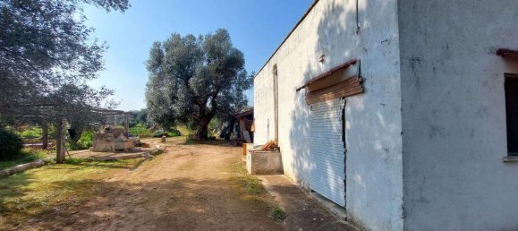 6 rooms Land in Carovigno, Italy No. 153686 19