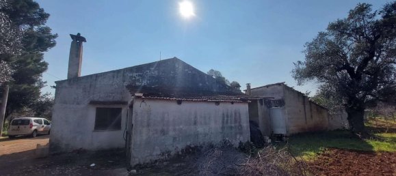 6 rooms Land in Carovigno, Italy No. 153686 16