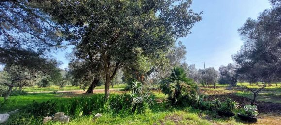 6 rooms Land in Carovigno, Italy No. 153686 20