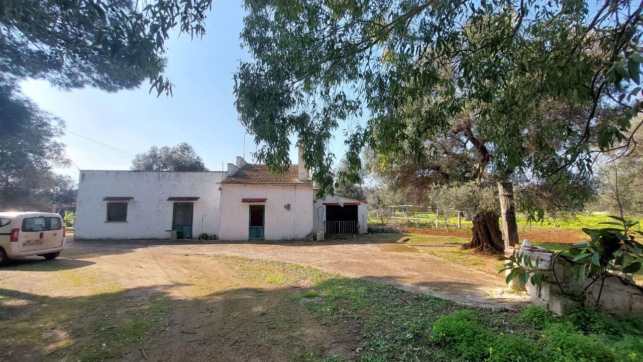 6 rooms Land in Carovigno, Italy No. 153686