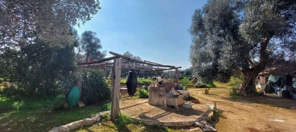 6 rooms Land in Carovigno, Italy No. 153686 21