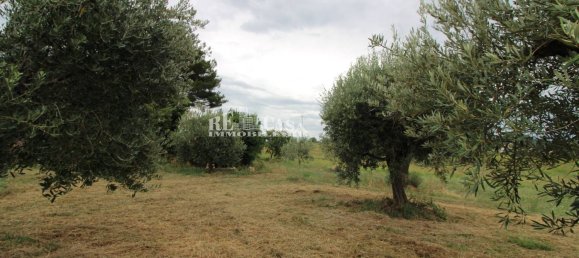 4 bedrooms House in Folignano, Italy No. 347860 11