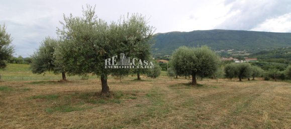 4 bedrooms House in Folignano, Italy No. 347860 26