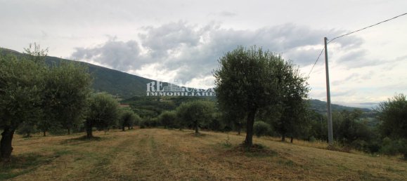 4 bedrooms House in Folignano, Italy No. 347860 4