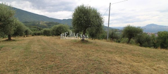 4 bedrooms House in Folignano, Italy No. 347860 9