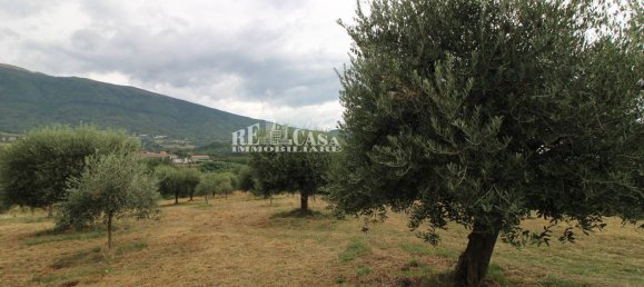 4 bedrooms House in Folignano, Italy No. 347860 14