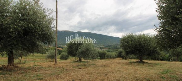 4 bedrooms House in Folignano, Italy No. 347860 13