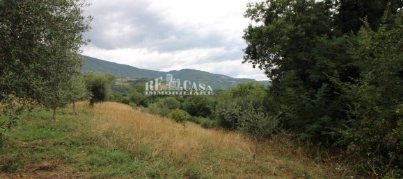 4 bedrooms House in Folignano, Italy No. 347860 17