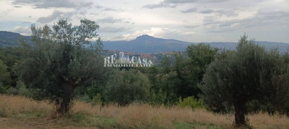 4 bedrooms House in Folignano, Italy No. 347860 6