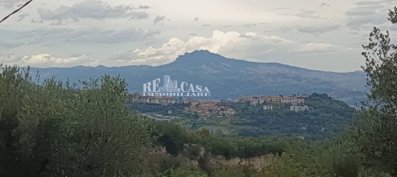 4 bedrooms House in Folignano, Italy No. 347860 5