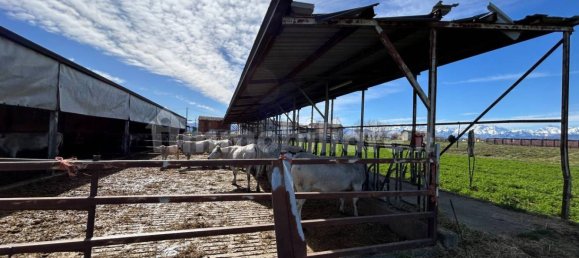 Armazém de 2 divisões em Fossano, Italy N.º 116269 9