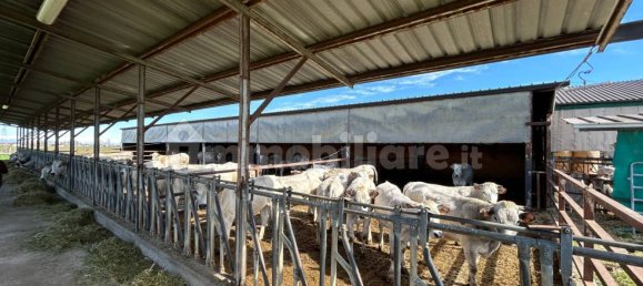 Armazém de 2 divisões em Fossano, Italy N.º 116269 7