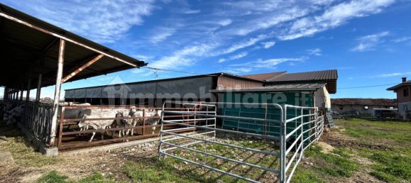 Armazém de 2 divisões em Fossano, Italy N.º 116269 11