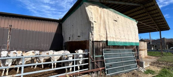 Armazém de 2 divisões em Fossano, Italy N.º 116269 13