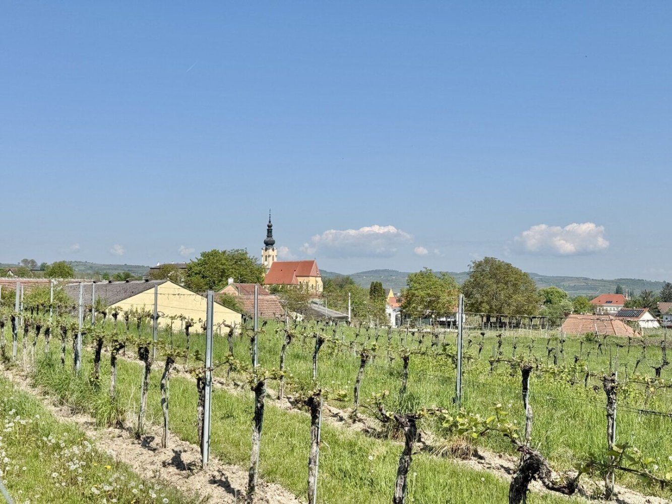 Terreno en Langenlois, Austria No. 135962