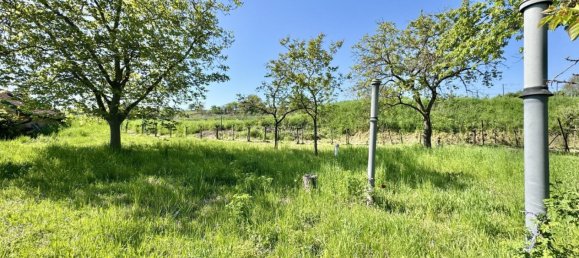 Terreno en Langenlois, Austria No. 135962 9