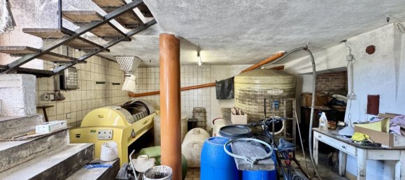 Terreno en Langenlois, Austria No. 135962 15