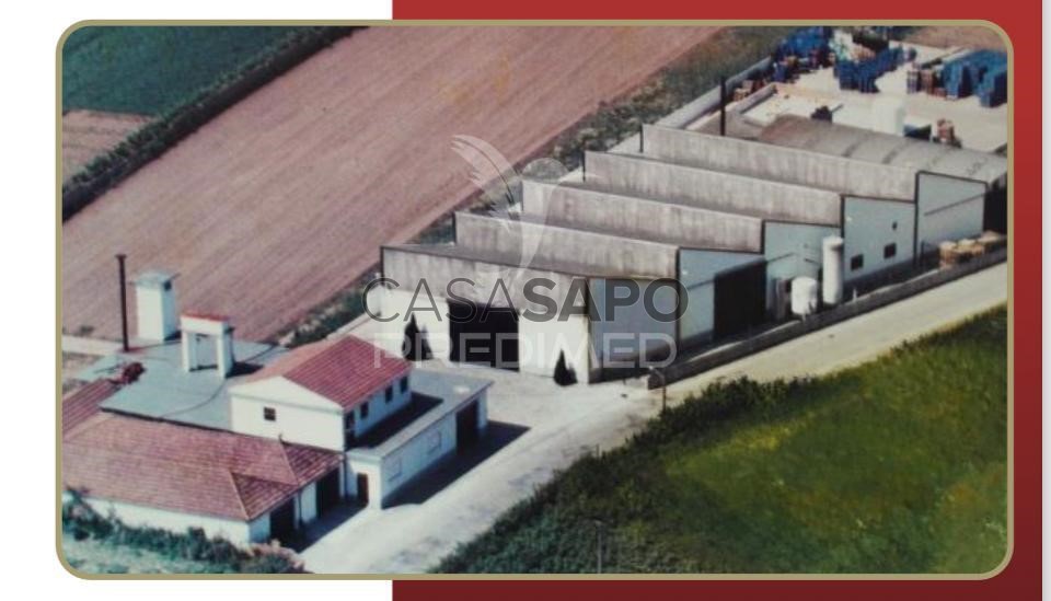 3700m² Office in Quarteira, Portugal No. 205079