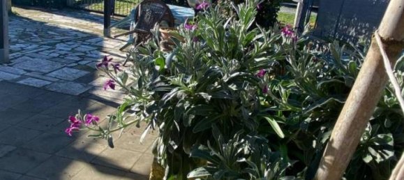 Grundstück in Piombino, Italy 2500m², Nr. 120818 9