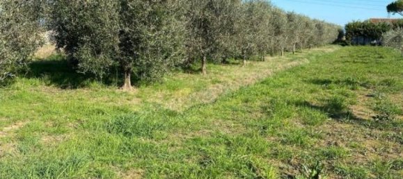 Grundstück in Piombino, Italy 2500m², Nr. 120818 13