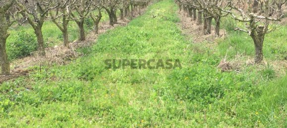 7280m² Land in Torres Vedras, Portugal No. 157212 13