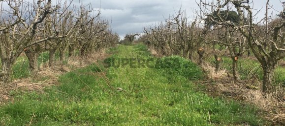 7280m² Land in Torres Vedras, Portugal No. 157212 11
