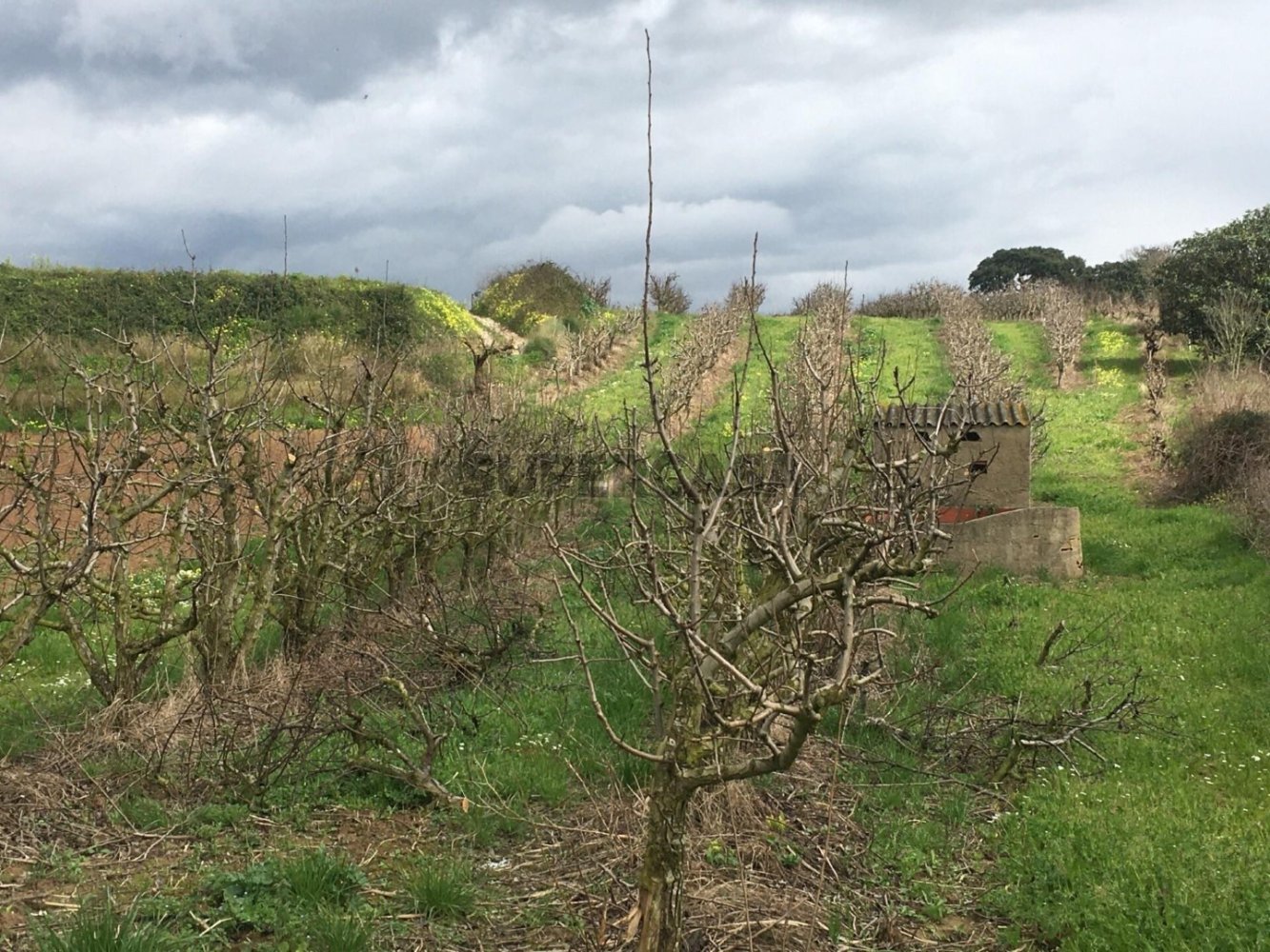 7280m² Land in Torres Vedras, Portugal No. 157212