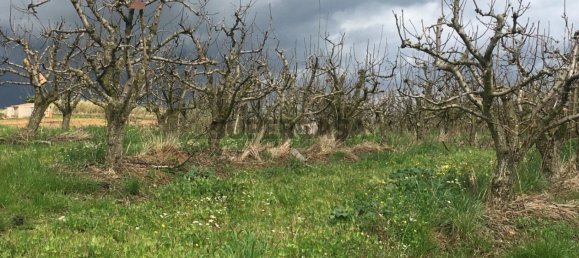 7280m² Land in Torres Vedras, Portugal No. 157212 12