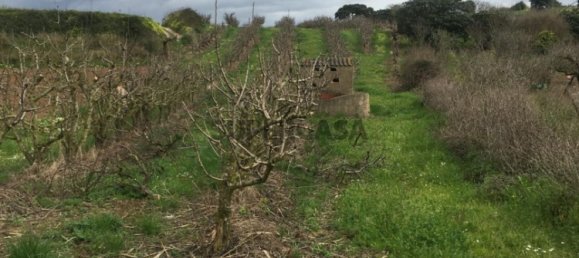 7280m² Land in Torres Vedras, Portugal No. 157212 4