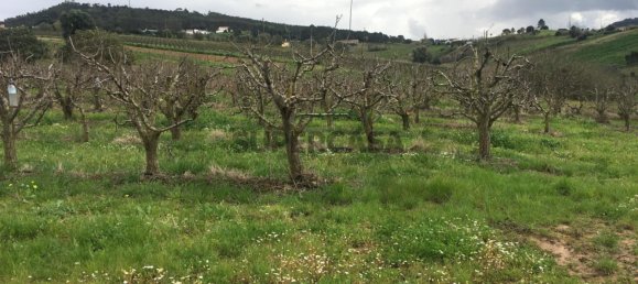 7280m² Land in Torres Vedras, Portugal No. 157212 15