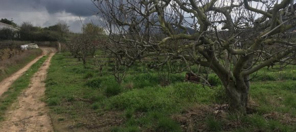 7280m² Land in Torres Vedras, Portugal No. 157212 18