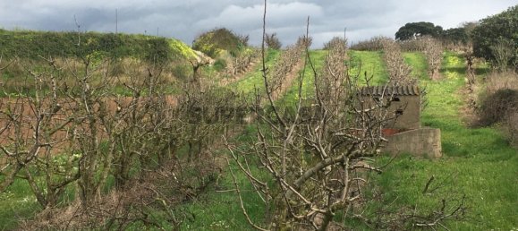 7280m² Land in Torres Vedras, Portugal No. 157212 5