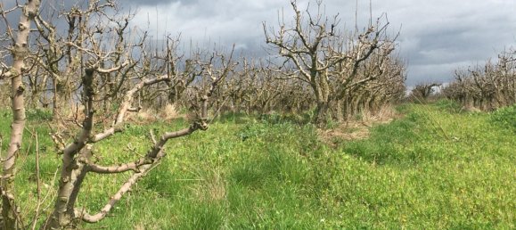 7280m² Land in Torres Vedras, Portugal No. 157212 10