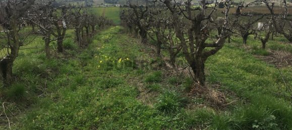 7280m² Land in Torres Vedras, Portugal No. 157212 19