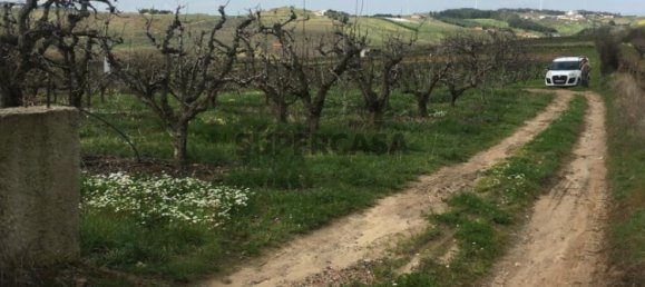 7280m² Land in Torres Vedras, Portugal No. 157212 21