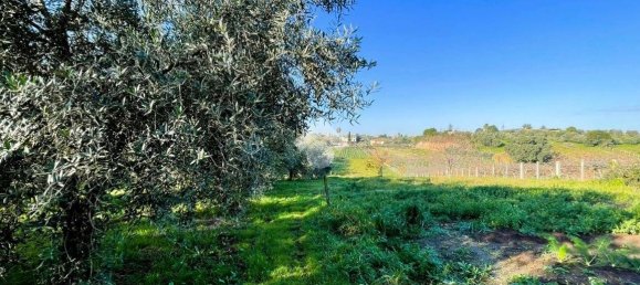 4 bedrooms Villa in Cisterna di Latina, Italy No. 152878 24