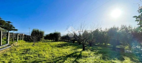 4 bedrooms Villa in Cisterna di Latina, Italy No. 152878 26