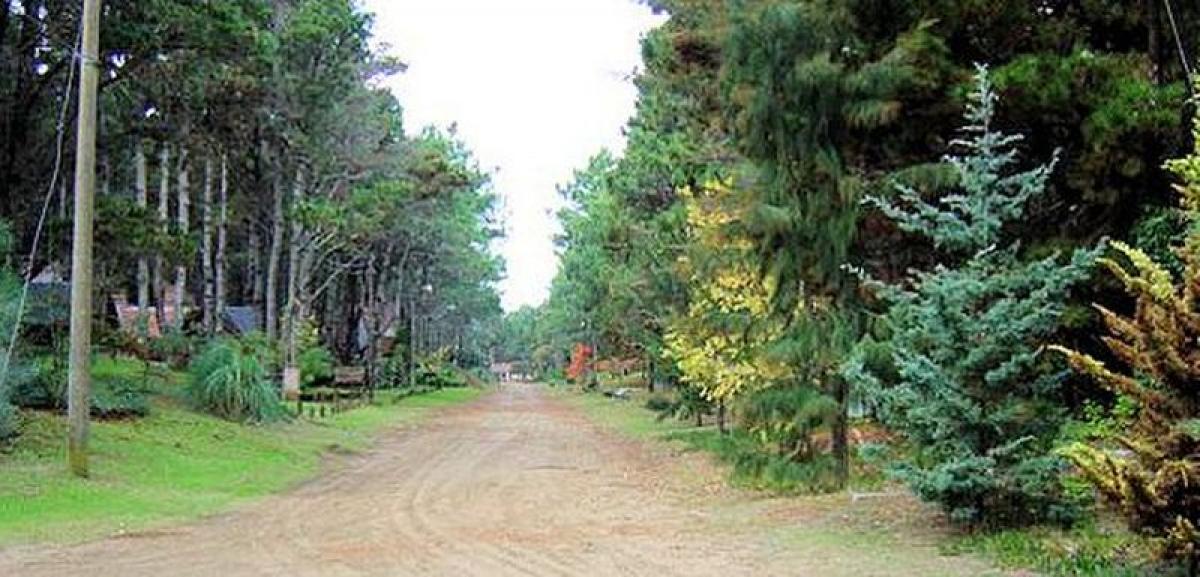 Terrain à Moron, Argentina No. 120184