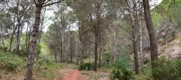 Land in Alhaurin de la Torre, Spain No. 158187 3