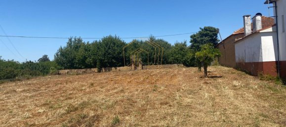 5000m² Land in Anadia, Portugal No. 79656 5