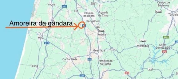5000m² Land in Anadia, Portugal No. 79656 21