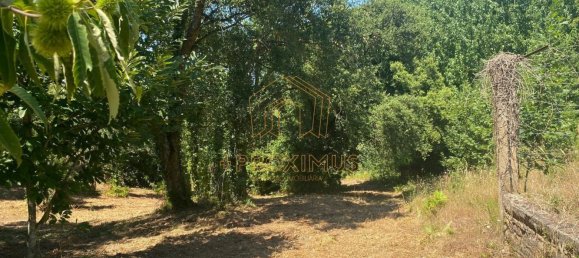 5000m² Land in Anadia, Portugal No. 79656 16