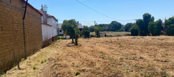 5000m² Land in Anadia, Portugal No. 79656 7