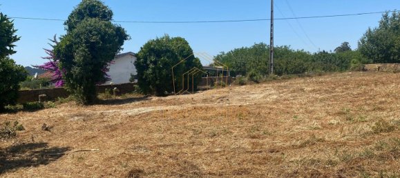 5000m² Land in Anadia, Portugal No. 79656 11