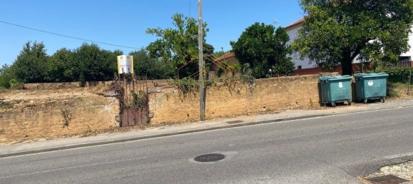 5000m² Land in Anadia, Portugal No. 79656 19